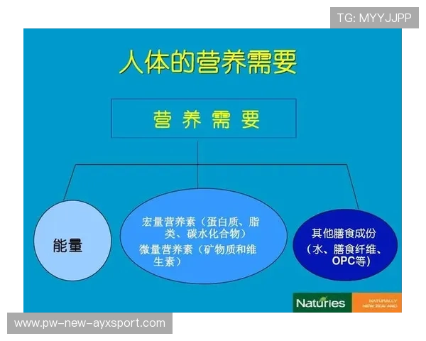 运动员营养师分享赛季饮食管理心得被广泛引用，运动员膳食营养的要求和原则有哪些
